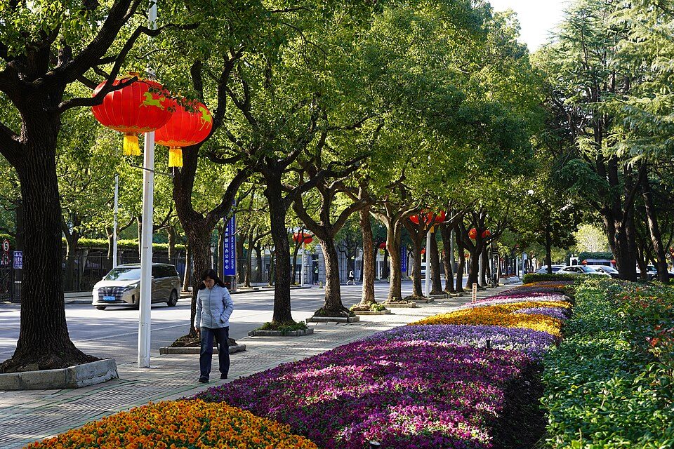 Street of Pudong during Chinese New Year