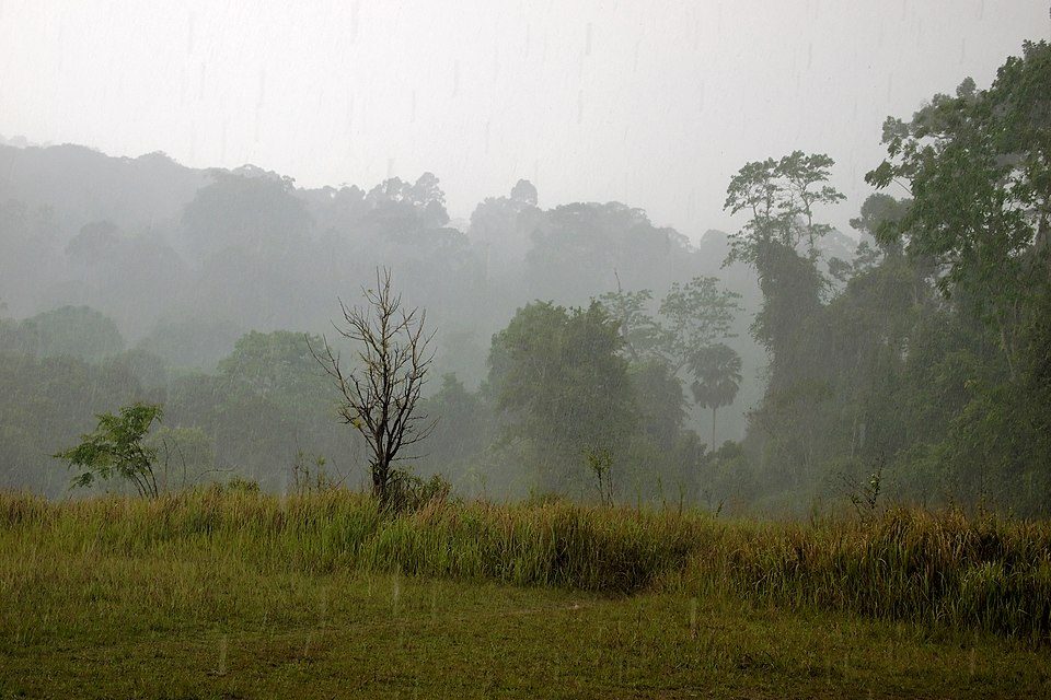 Khao Yai, Thailand, Khao Yai grasslands under the rain, tropical monsoon