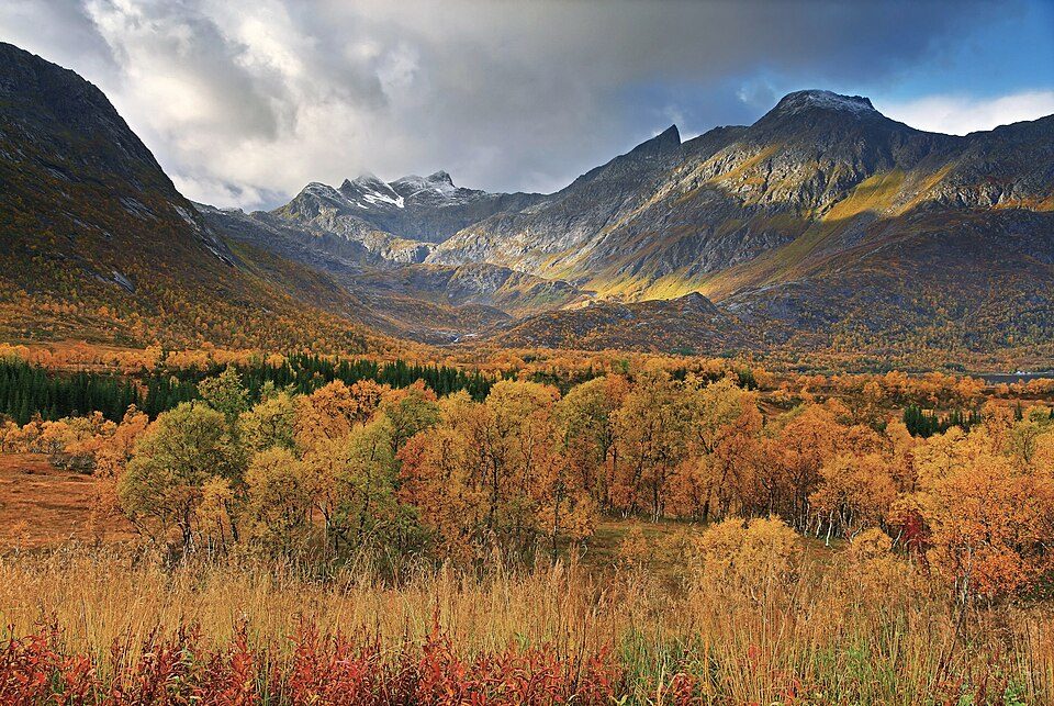 Autumn landscape near Gullesfjordbotn, Hinnøya, 2010 September